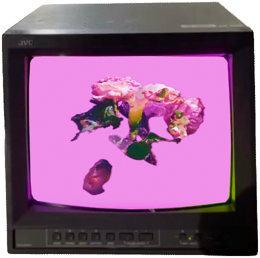 Animated loop of the rotating 3D-scanned bouquet from Soul of the Flora