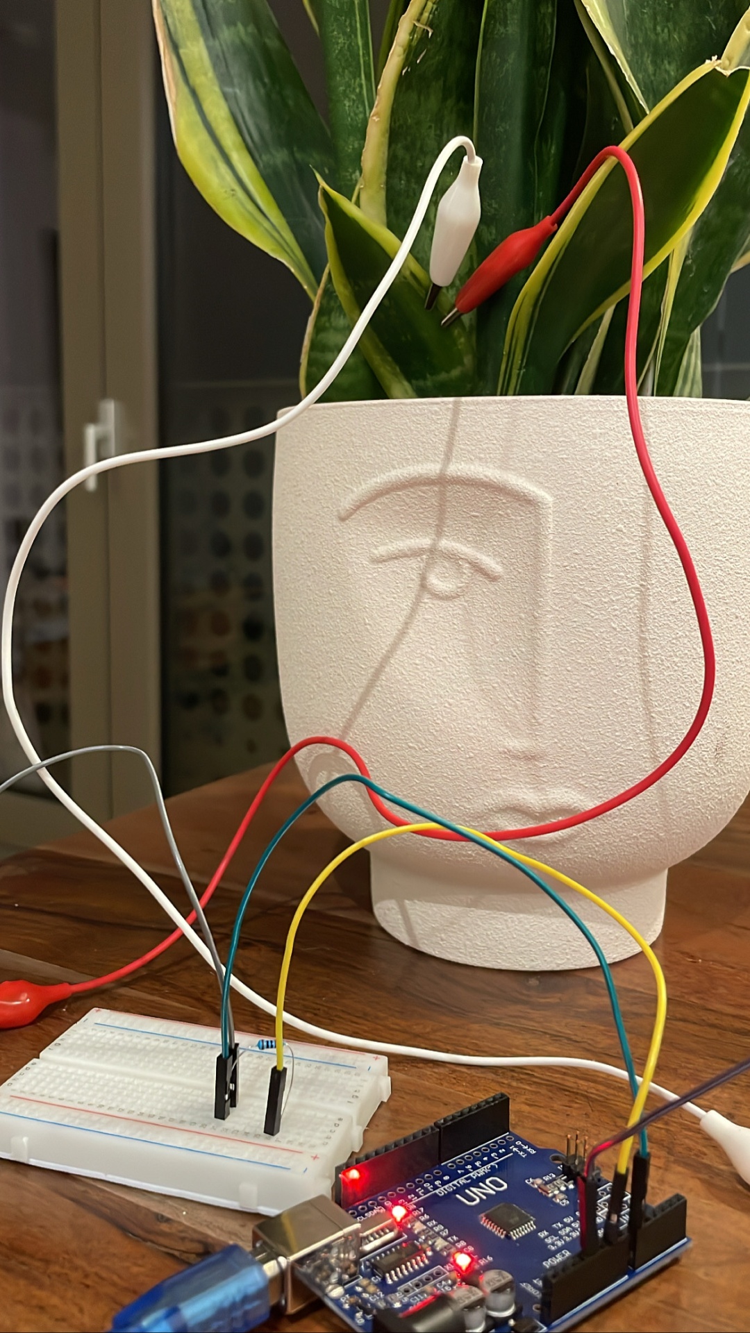 A snake plant with red and white alligator clips connected to an Arduino UNO on a breadboard